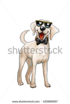 a white dog wearing sunglasses and a bow tie with his tongue out, standing in front of a white background