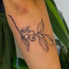 a tattoo on the leg of a woman with an olive branch and leaves around it