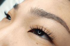 Eyelash Extensions For Monolid Eyes, Asian Eyelash Extensions Styles, Lashes For Monolid Eyes, Lash Extensions Monolid Eyes, Eyelid Types, Lash Map For Asian Eyes, Asian Eye Shapes, Lash Extensions For Asian Eyes, Monolid Eyelash Extensions