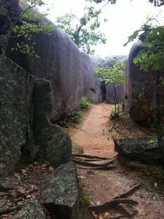 a dirt path surrounded by large rocks and trees