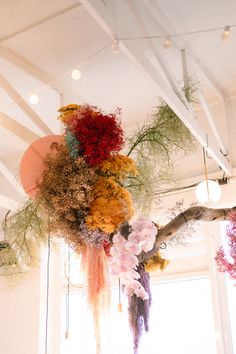 an arrangement of flowers hanging from the ceiling in a room with white walls and windows