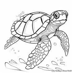 a turtle swimming in the ocean coloring page