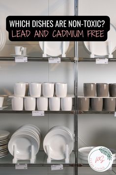 there are many plates and cups on the shelves in this store that says which dishes are non - toxic? lead and cadum free