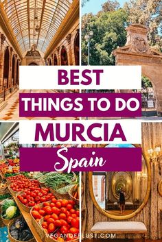 Murcia City has it all - historical sites and modern entertainment. Admire the stunning Murcia Cathedral and soak in the lively city center. Follow our recommendations for the best things to do in Murcia City so you don't miss out on anything. Valencia Paella, Spanish City, Vegan Guide, Spain Travel Guide