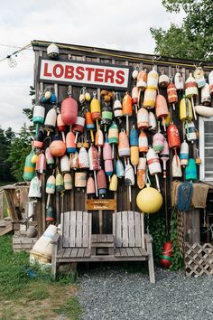 lobsters and buoys are hanging on the side of a building in front of a tree