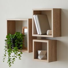 three wooden boxes with plants and books on them are hanging from the wall, one is empty