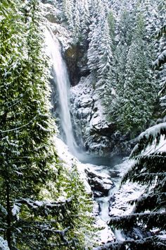 a waterfall surrounded by snow covered trees in the middle of a forest with evergreens on both sides