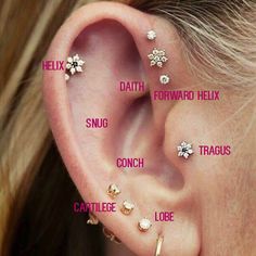 an image of a woman's ear with some piercings on it