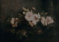 some white flowers are in a vase on a table