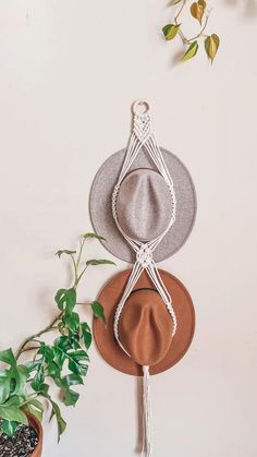 two hats hanging on the wall next to a potted plant