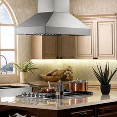 a kitchen with an island, stove and potted plant