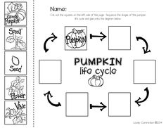 the pumpkin life cycle worksheet for kids to learn how to write and draw