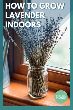 a jar filled with lavender flowers sitting on top of a window sill