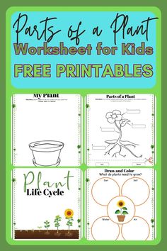 Nurture your child's curiosity with our plant parts worksheet! This free printable is perfect for young learners eager to explore nature. Featuring fun activities, it helps children identify and understand plant structures in a creative way. ​ ​Flower worksheet, plant worksheet, plant lessons, plants worksheets, planting for kids.