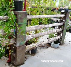 a wooden fence surrounded by potted plants