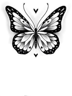 a black and white drawing of a butterfly