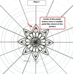 an image of a flower in the middle of a circle with arrows pointing to it