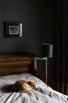 an orange cat laying on top of a bed next to a night stand and lamp