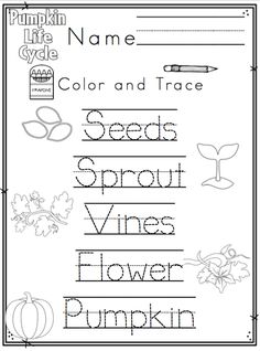 the worksheet for writing pumpkins and flowers