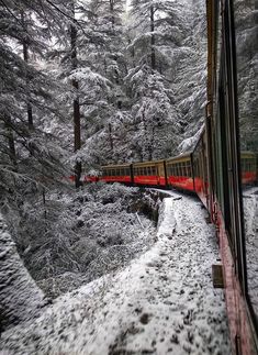 a train traveling through a snow covered forest