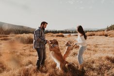 a man and woman are playing with their dogs in the field while they look at each other