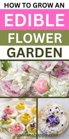 how to grow edible flower in the garden with text overlay that reads, how to grow an edible flower garden