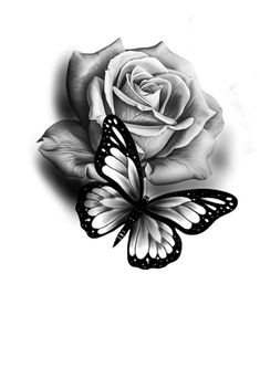 a black and white rose with a butterfly on it