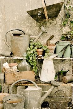 there are many pots and pans on the shelves in this garden area with gardening tools