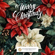 a christmas card with poinsettis and holly leaves in red, white and green