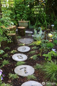 a garden path made out of stepping stones with plants around it and trees in the background