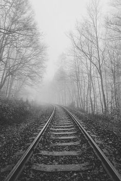 a train track in the middle of a forest on a foggy day