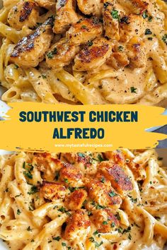 the chicken alfredo is served with pasta and garnished with parmesan cheese