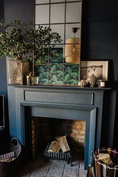 a living room with a fire place and potted plants on top of the fireplace