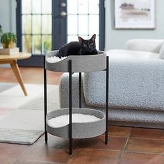 a black cat laying on top of a pet bed in a living room next to a couch