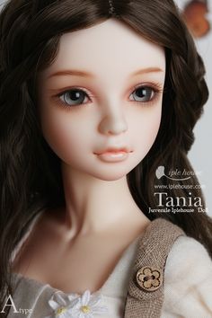 a close up of a doll with long hair