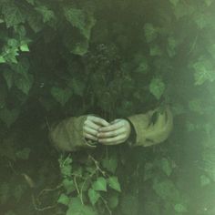 someone's hands covering their face in the middle of some leaves and vines,