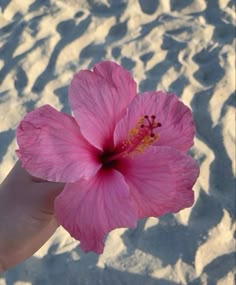 a pink flower being held up in the air by someone's hand at the beach