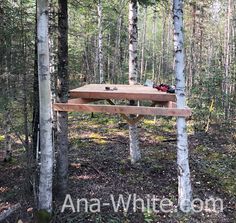 a picnic table in the middle of a forest surrounded by tall birch trees with two backpacks on it