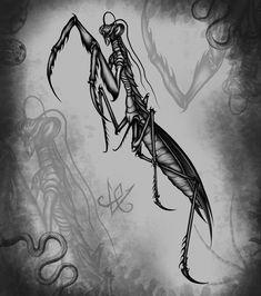 a black and white drawing of a praying mantissa