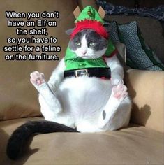 a cat sitting on top of a couch wearing a christmas hat and elf's outfit