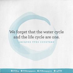 a blue and white sign with the words we forget that the water cycle and the life cycle are one