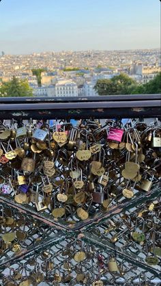 many padlocks are attached to the fence in front of the cityscape