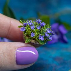 a tiny purple flower sitting on top of a green leafy plant in someone's hand