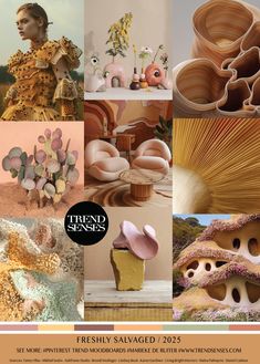 a collage of photos with different shapes and colors, including shells, flowers, and plants