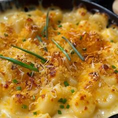 a close up of a plate of food with cheese and chives on the side