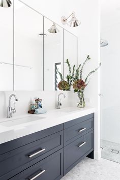 a bathroom with two sinks, mirrors and plants on the counter top in front of it