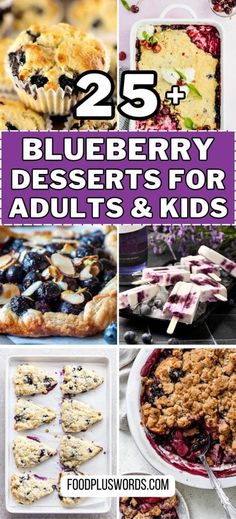 blueberry desserts for adults and kids