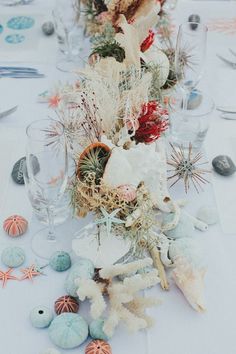 the table is set with shells, corals and seashells