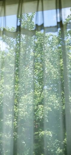 the view from inside a window looking at trees