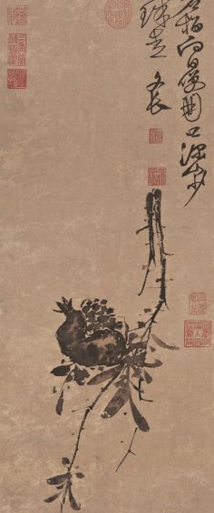 Pomegranate, Xu Wei Just Ink, Chinese Ink, Animated Images, Mountain Man, Japan Art, Sumi E, Traditional Paintings, Chinese Painting, Silk Painting